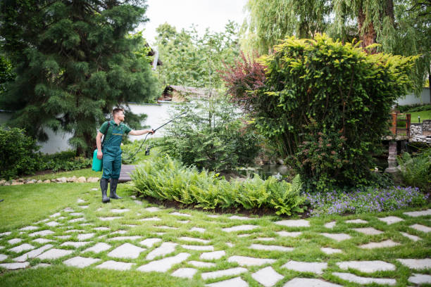 Best Insect Control  in West Milwaukee, WI