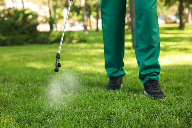 Wasp Removal Services in West Milwaukee, WI