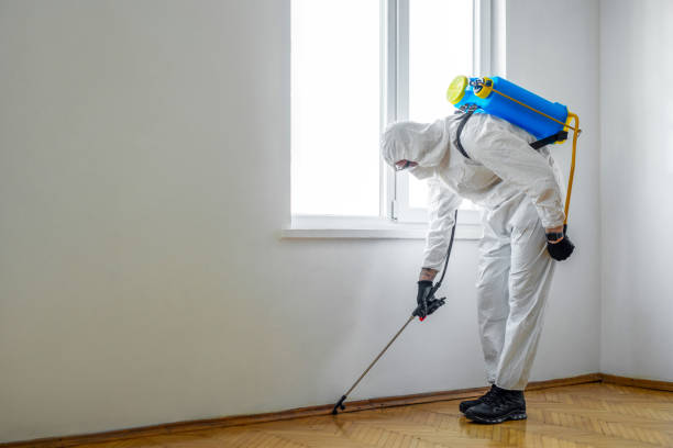 Best Termite Control Services  in West Milwaukee, WI